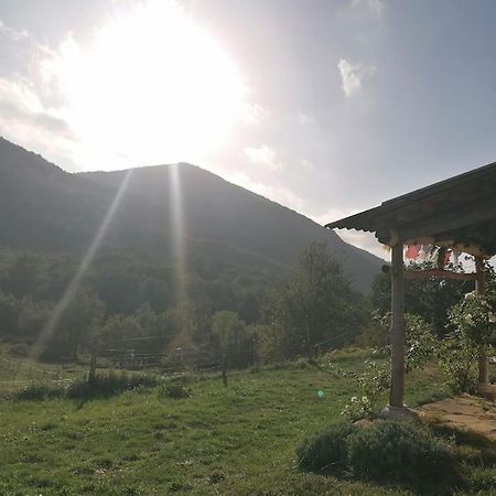 Bright Loft With Mountain And Nature View Sougraigne ภายนอก รูปภาพ