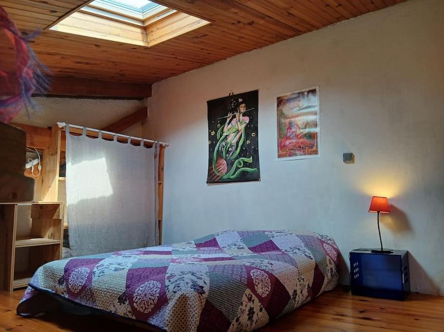 Bright Loft With Mountain And Nature View Sougraigne ภายนอก รูปภาพ