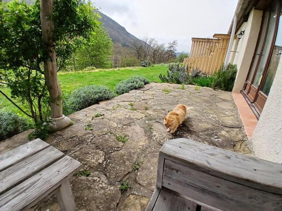 Bright Loft With Mountain And Nature View Sougraigne ภายนอก รูปภาพ