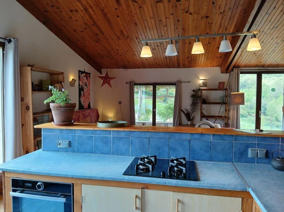 Bright Loft With Mountain And Nature View Sougraigne ภายนอก รูปภาพ